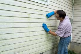 Best Siding Painting and Refinishing  in Houghton, MI